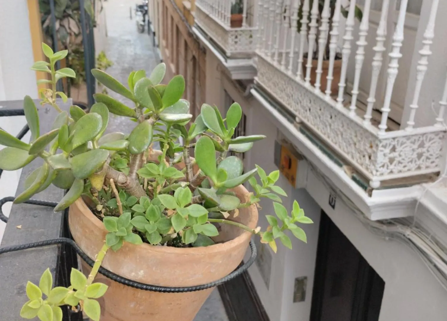 Alojamiento Lanza En El Corazon De Sevilla Apartman